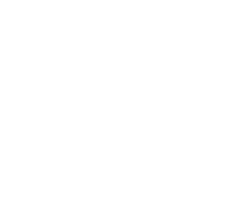 NOCCO Logo white